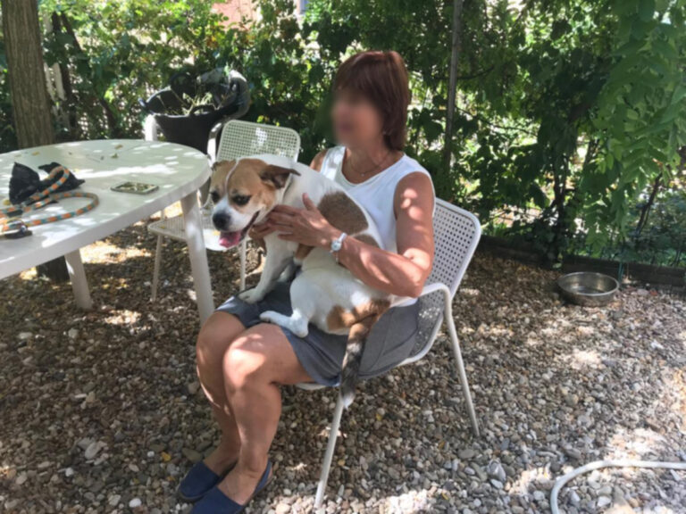 multimedia-foto50089-32-1