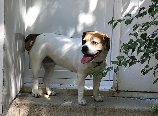 multimedia-foto50091-33-1