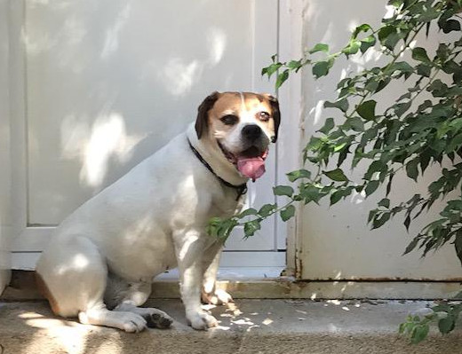 multimedia-foto50092-33-1