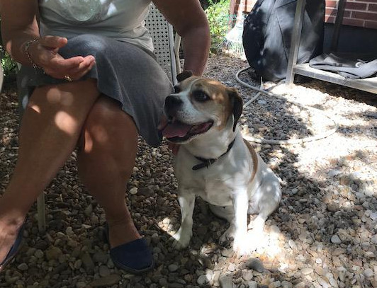 multimedia-foto50093-33-1