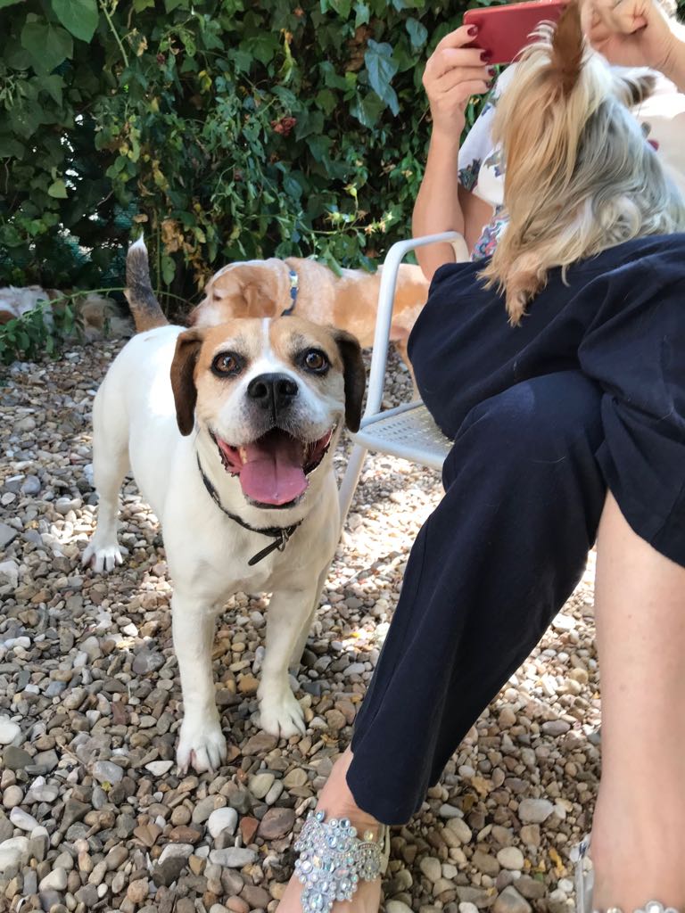 multimedia-foto50094-113-1