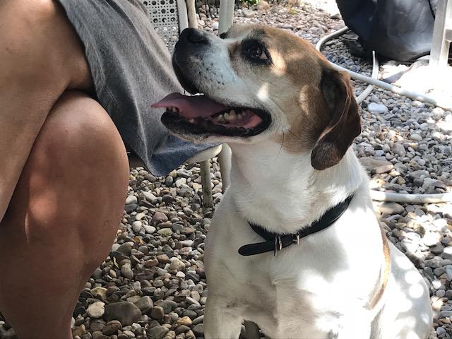 multimedia-foto50095-113-1