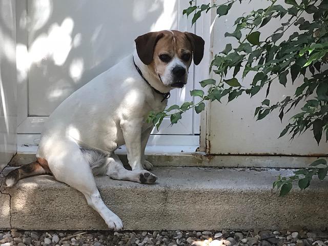 multimedia-foto50097-113-1