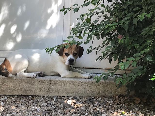 multimedia-foto50098-114-1