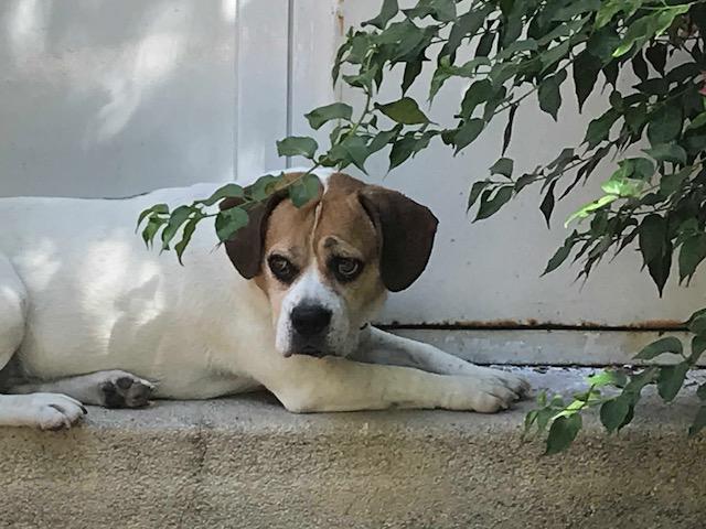 multimedia-foto50099-114-1