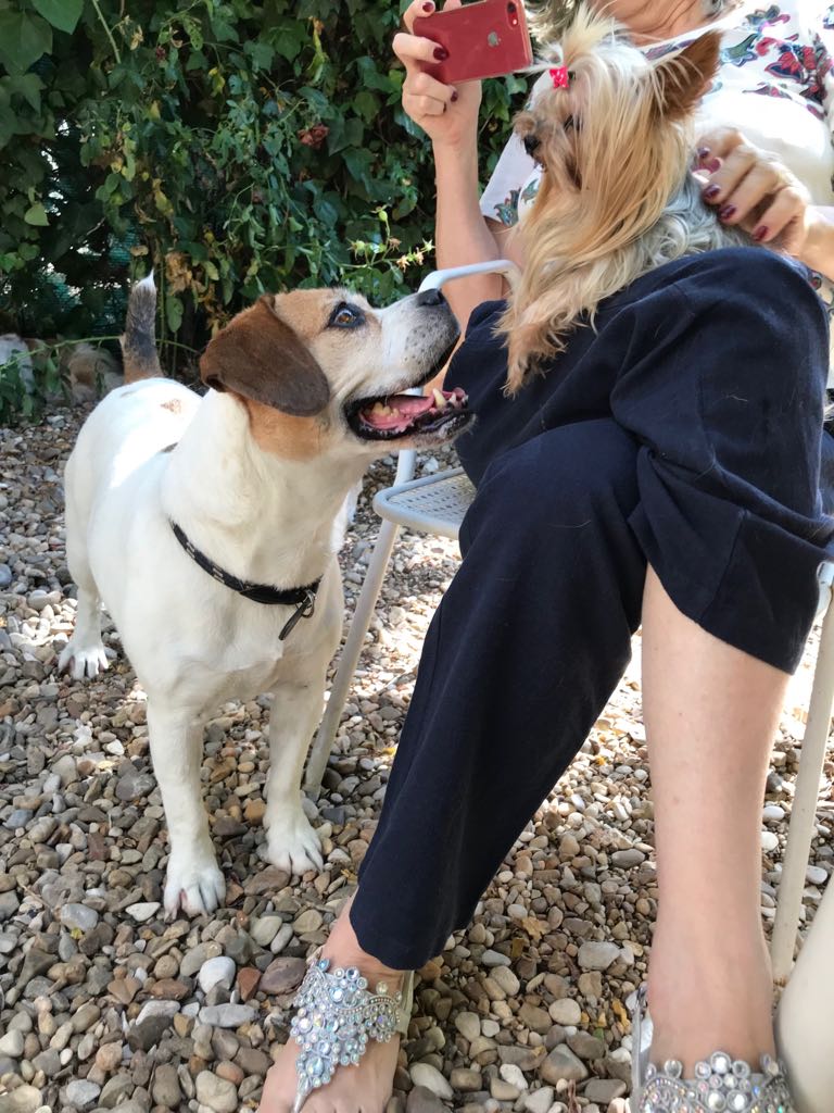 multimedia-foto50100-114-1