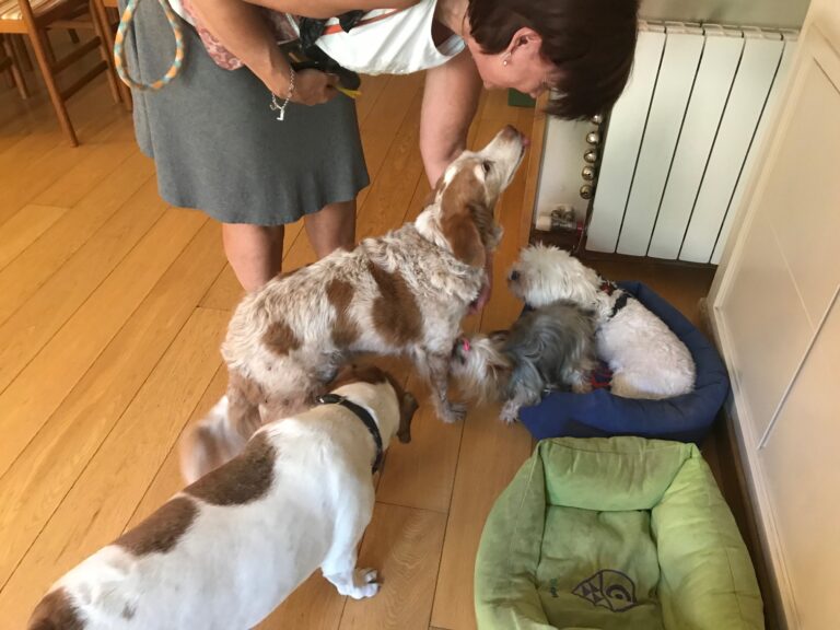 multimedia-foto50101-114-1