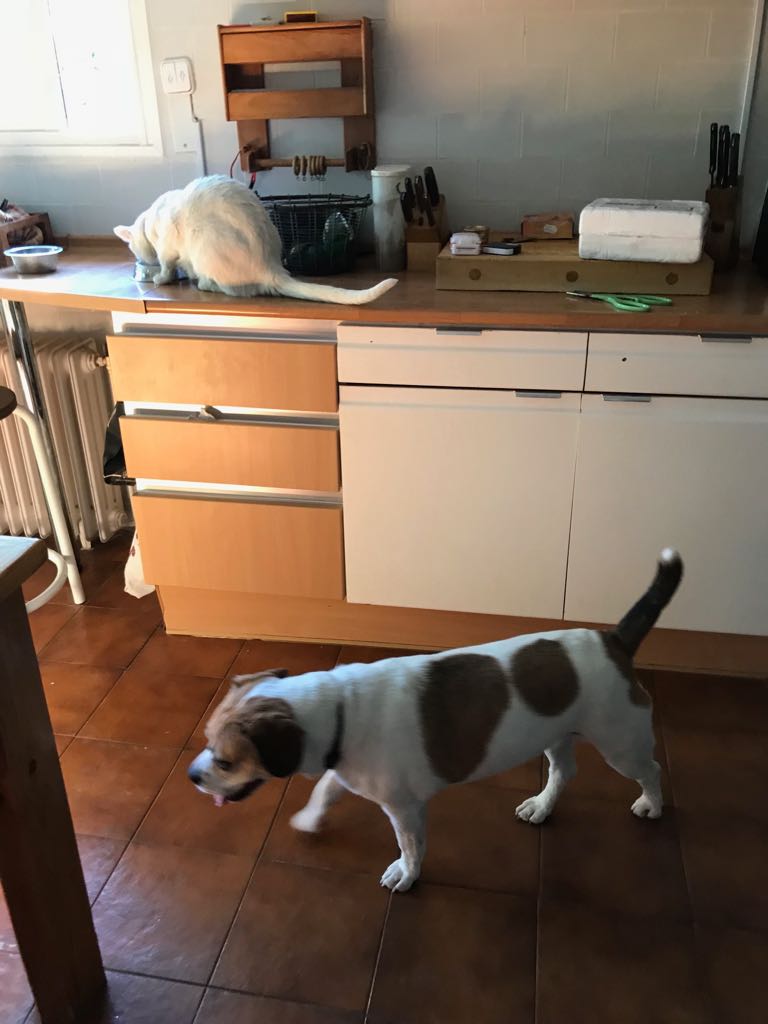 multimedia-foto50103-159-1