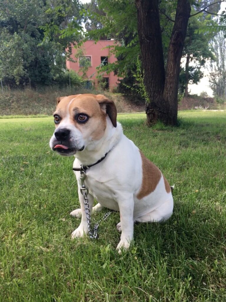 multimedia-foto50104-159-1