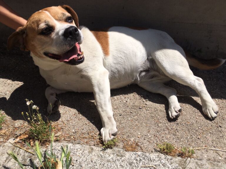 multimedia-foto50105-159-1