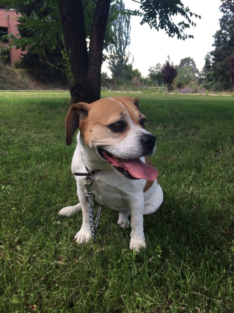 multimedia-foto50106-160-1