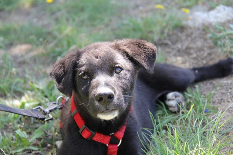 multimedia-foto50109-14-1