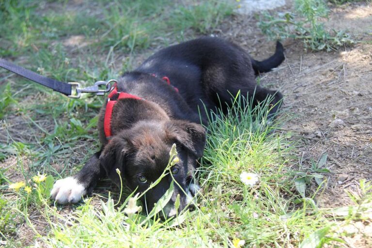 multimedia-foto50110-15-1