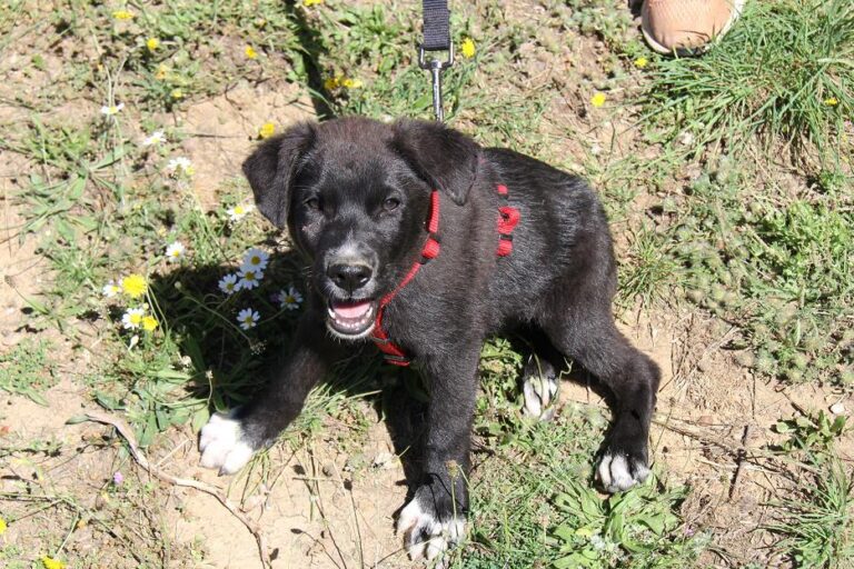 multimedia-foto50111-15-1