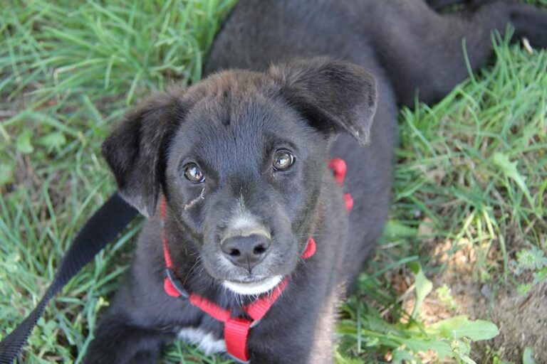 multimedia-foto50113-15-1