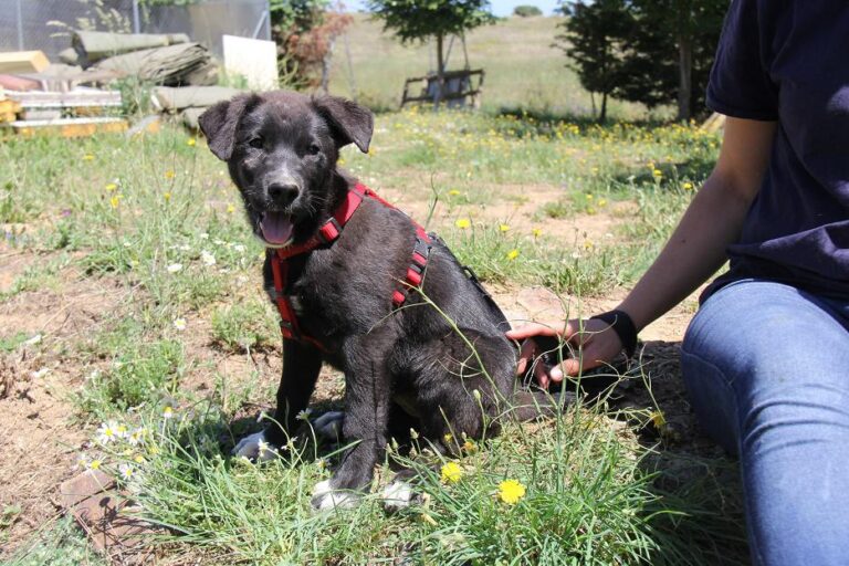 multimedia-foto50114-16-1