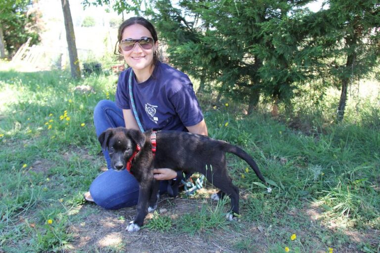 multimedia-foto50115-16-1