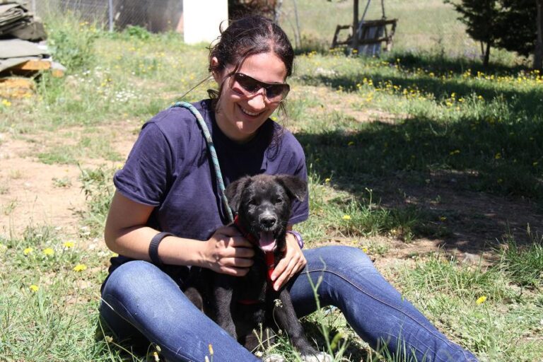 multimedia-foto50116-16-1