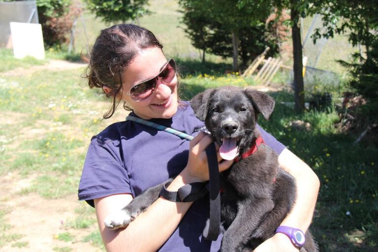 multimedia-foto50117-16-1