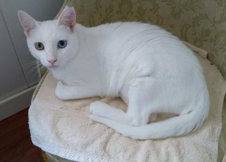 multimedia-foto50118-409-1