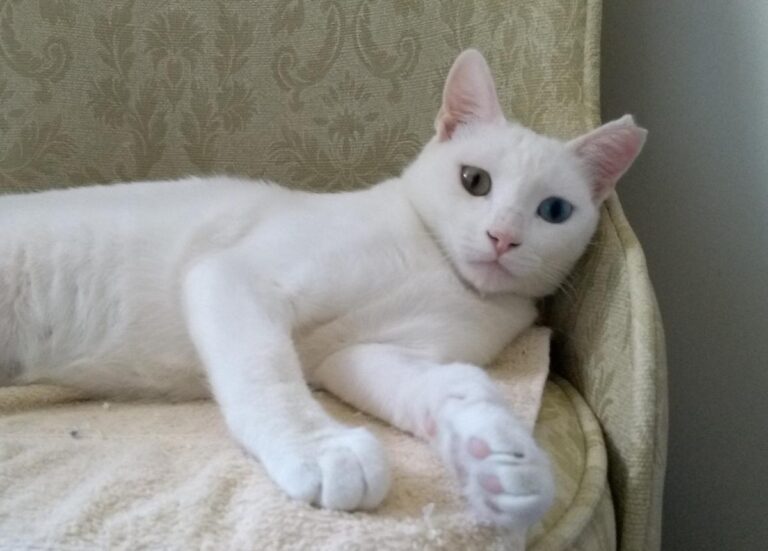 multimedia-foto50119-409-1