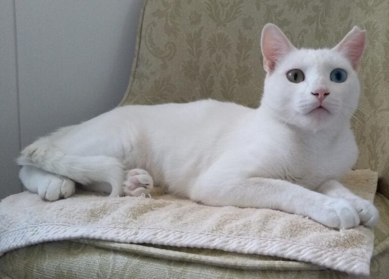 multimedia-foto50120-410-1