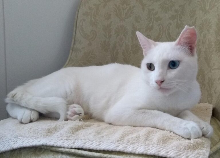 multimedia-foto50121-410-1