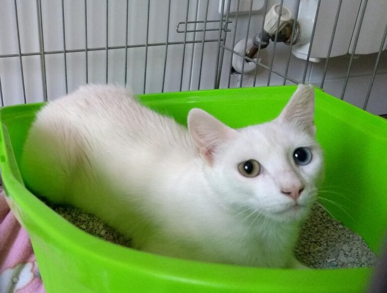 multimedia-foto50122-410-1