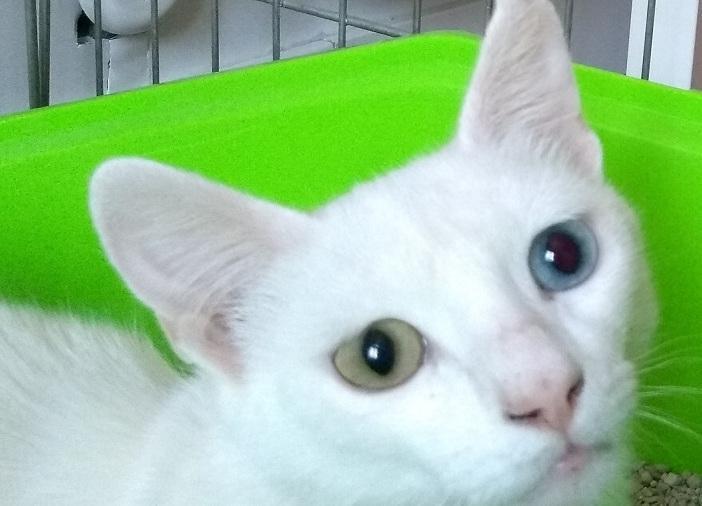 multimedia-foto50123-410-1