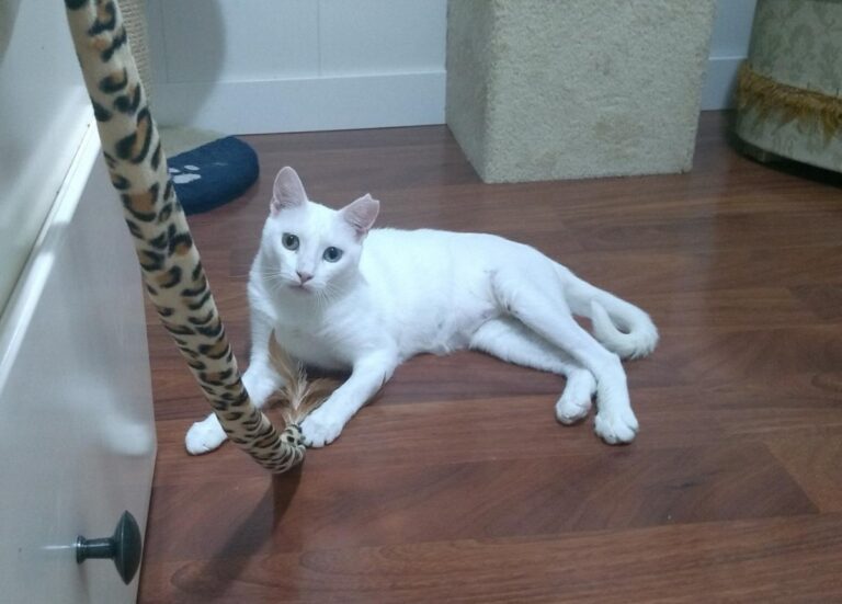 multimedia-foto50129-558-1