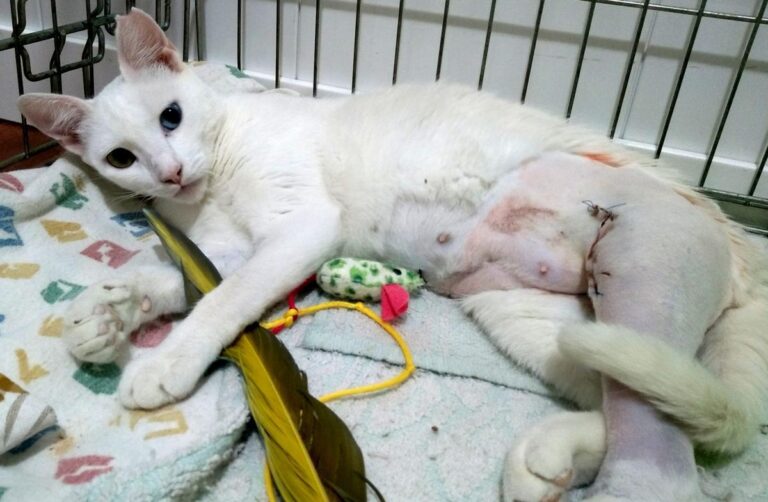 multimedia-foto50134-559-1