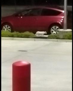 multimedia-foto50135-560-1