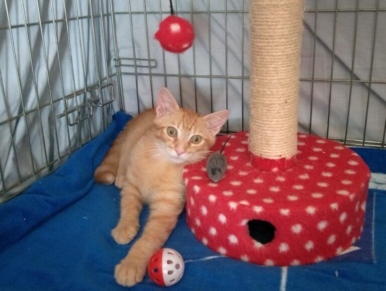 multimedia-foto50142-885-1