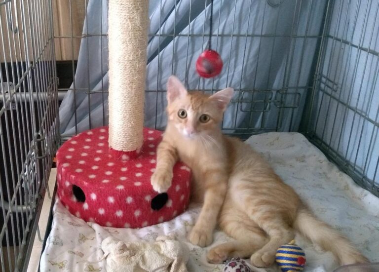 multimedia-foto50143-885-1