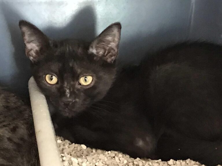 multimedia-foto50148-259-1