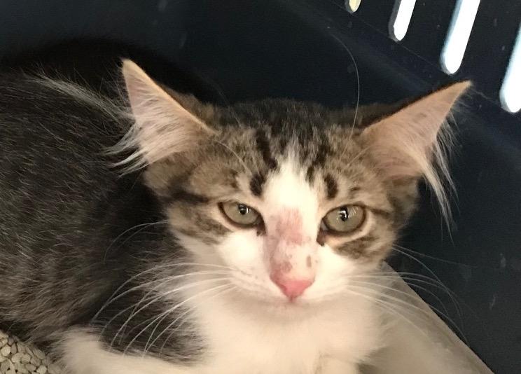 multimedia-foto50156-364-1