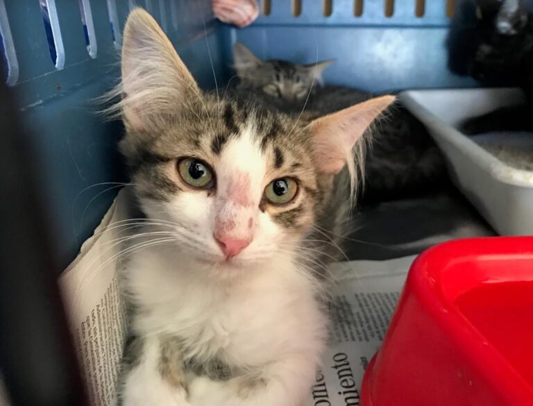 multimedia-foto50157-364-1