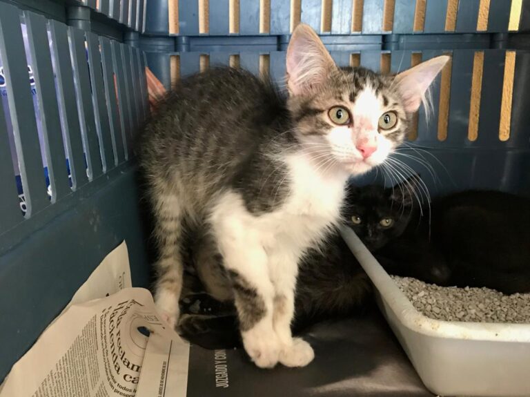 multimedia-foto50158-365-1