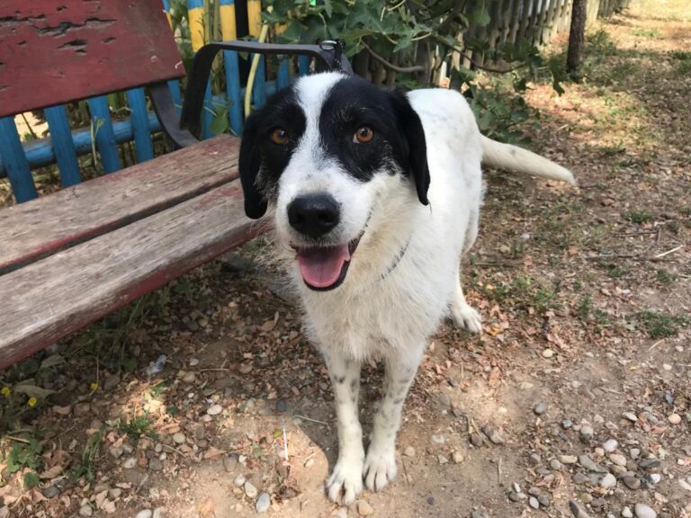 multimedia-foto50166-626-1