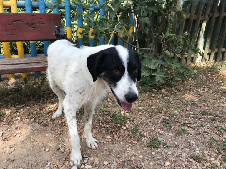 multimedia-foto50167-627-1