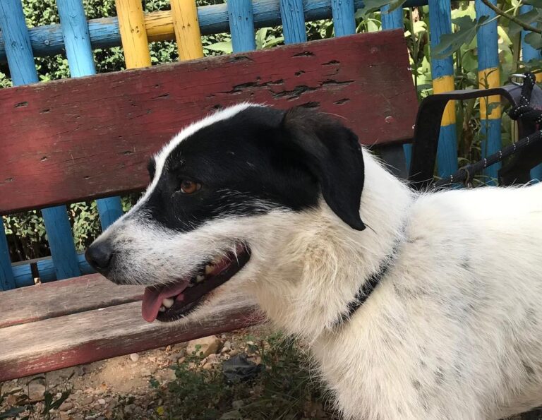 multimedia-foto50168-627-1