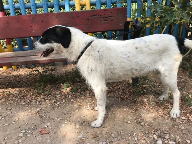 multimedia-foto50169-627-1