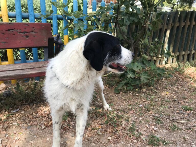 multimedia-foto50170-627-1