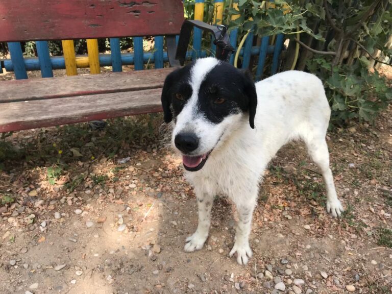 multimedia-foto50171-628-1