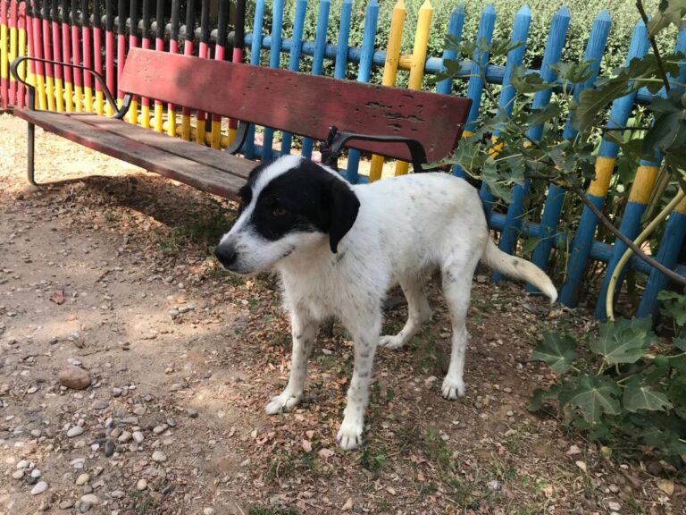 multimedia-foto50173-628-1