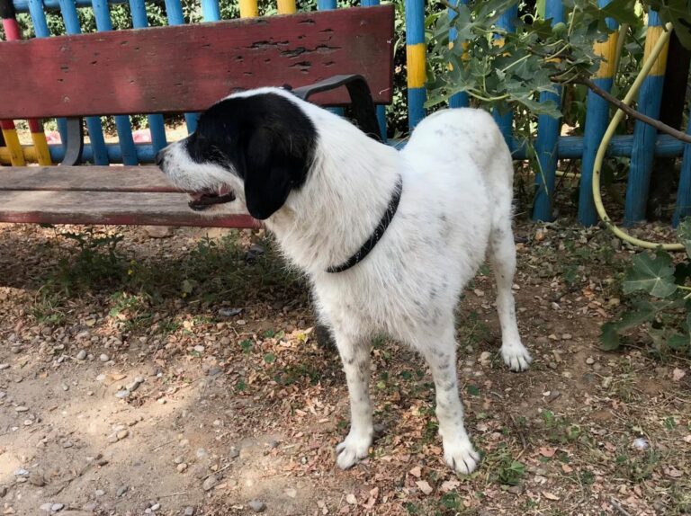 multimedia-foto50174-629-1