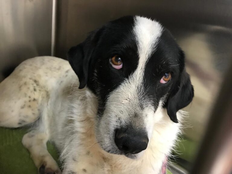 multimedia-foto50176-629-1