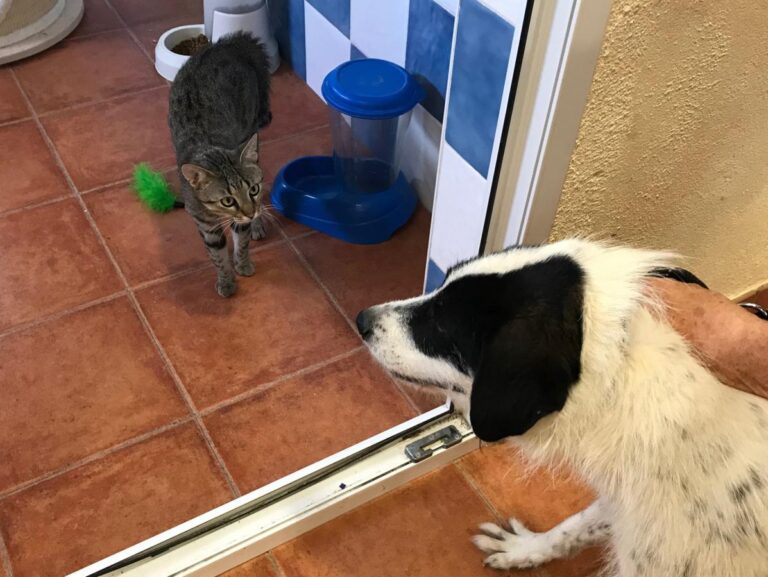 multimedia-foto50177-629-1