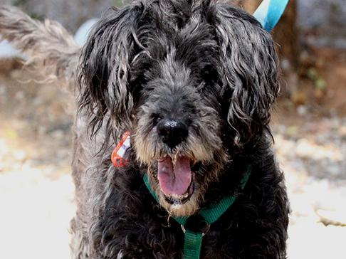 multimedia-foto50227-159-1