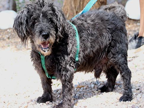 multimedia-foto50228-159-1